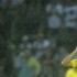 La cláusula del miedo
